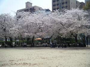 DSCF0310.JPG