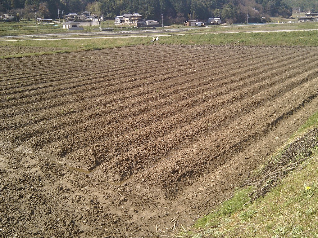 オクガクブログ 種まき 排水溝掘り オクガクブログ 種まき 排水溝掘り