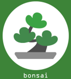bonsai